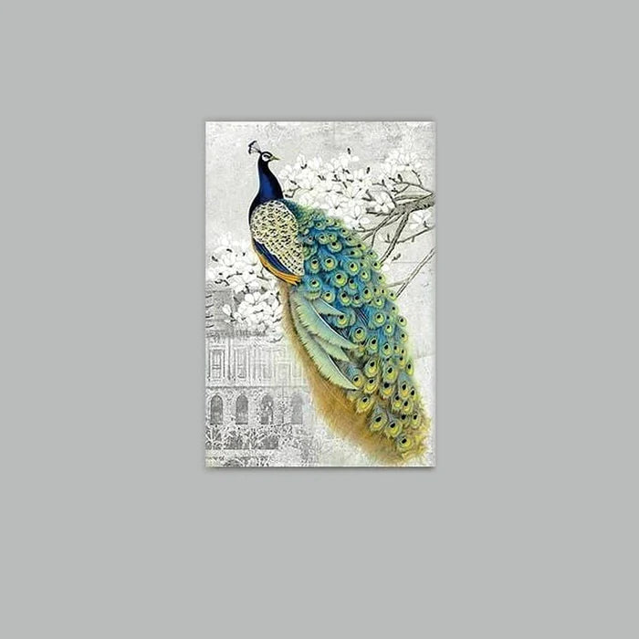 Afropavo Peacock Flower Animal Stretched Canvas