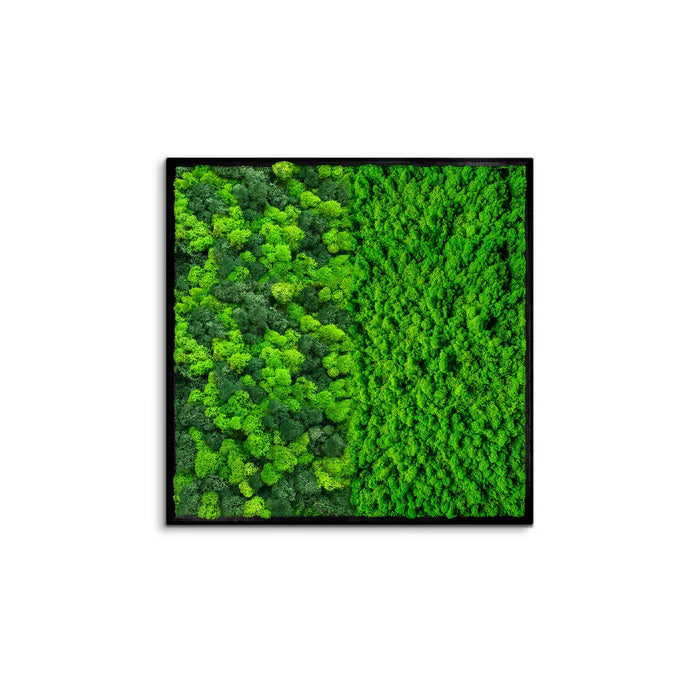 Half Moss Art Square Frame