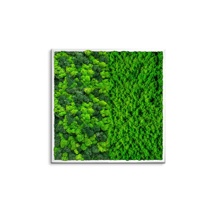 Half Moss Art Square Frame