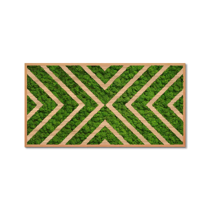 Moss Art X Design wooden frame