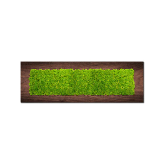 Wooden panel moss art