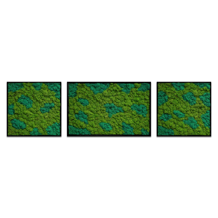 Moss Art Trio Multi Panel