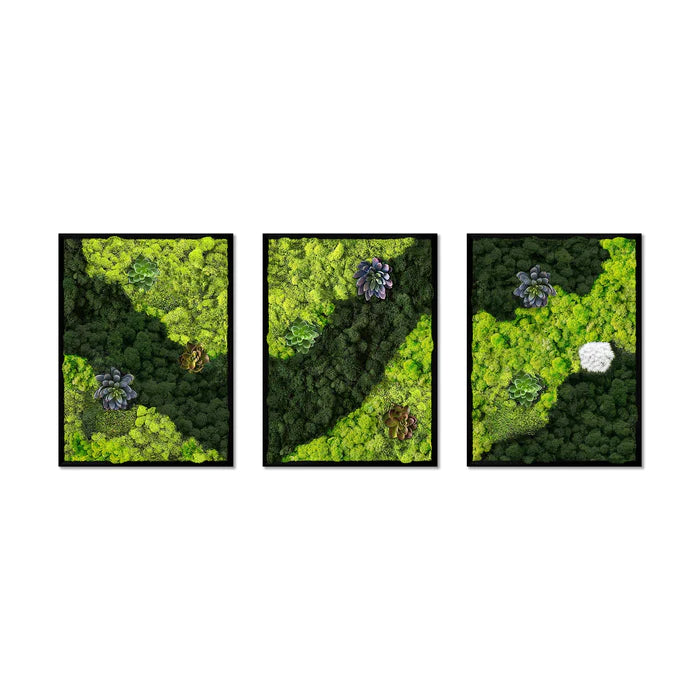 Moss art with lotus