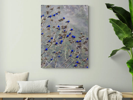 The Blue Birds Canvas