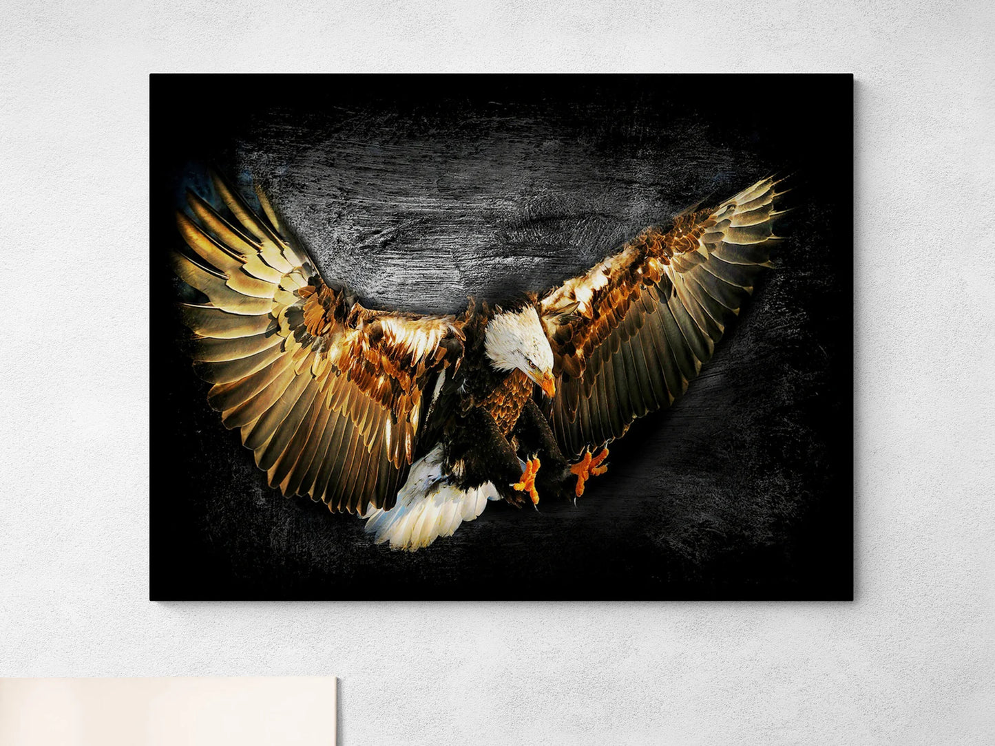 Eagle in Black Canvas