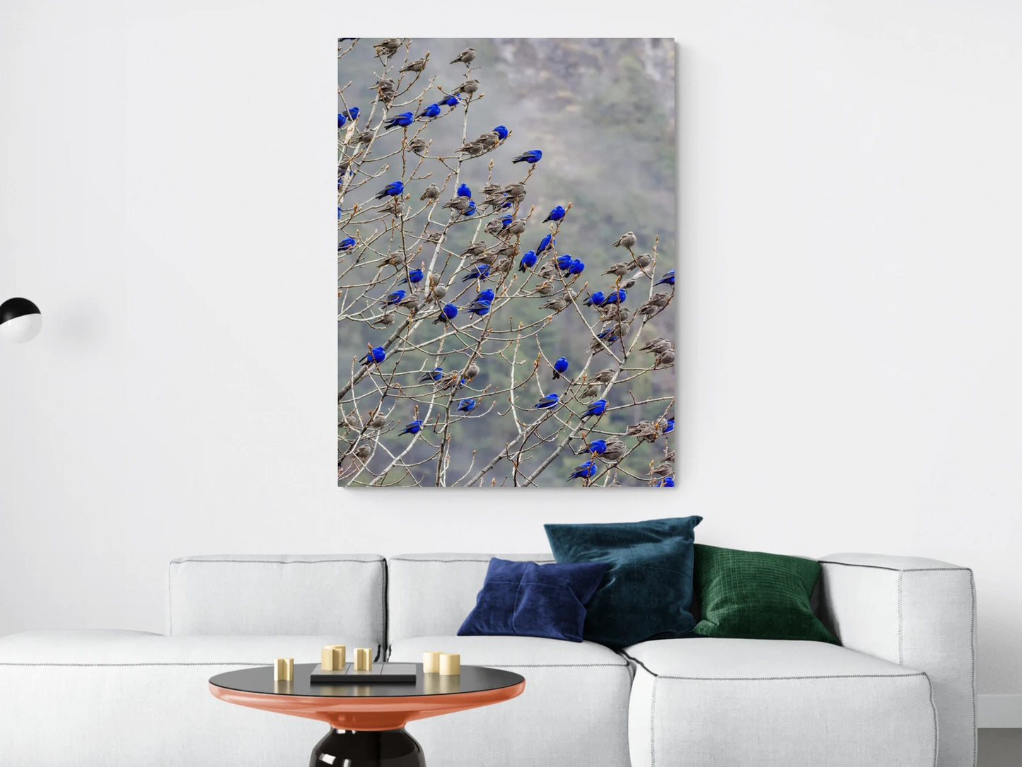 The Blue Birds Canvas