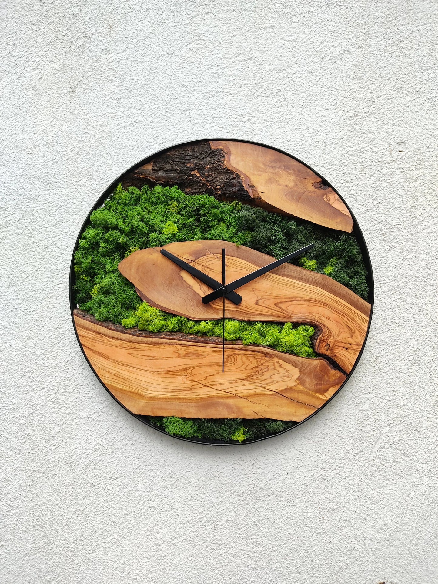 Olive tree wood-moss clock