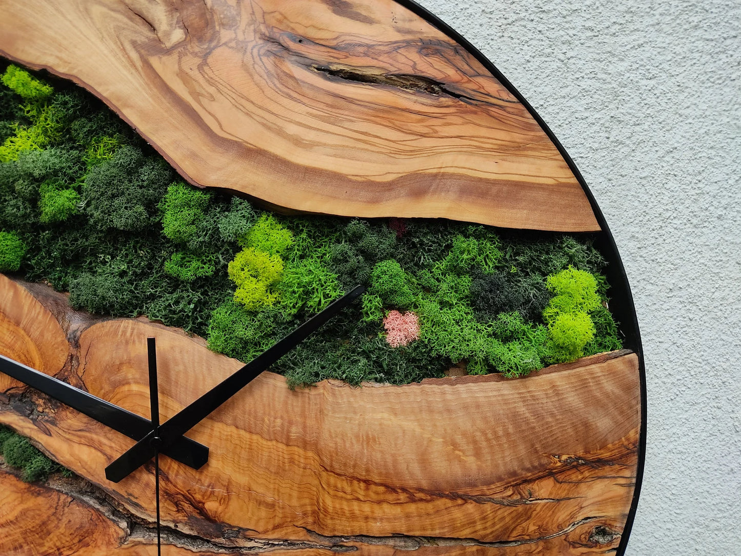 Olive tree wood-moss clock