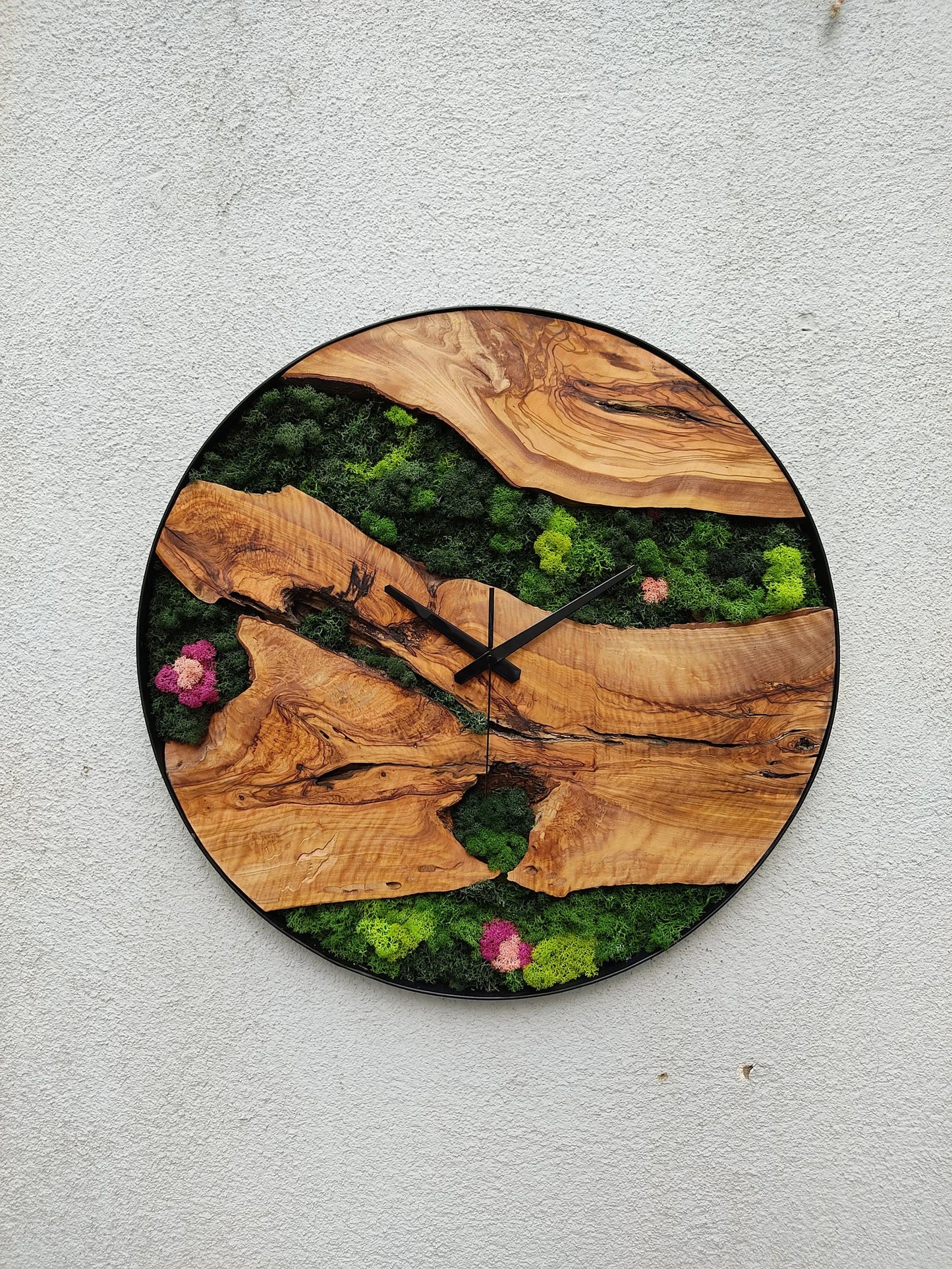 Olive tree wood-moss clock