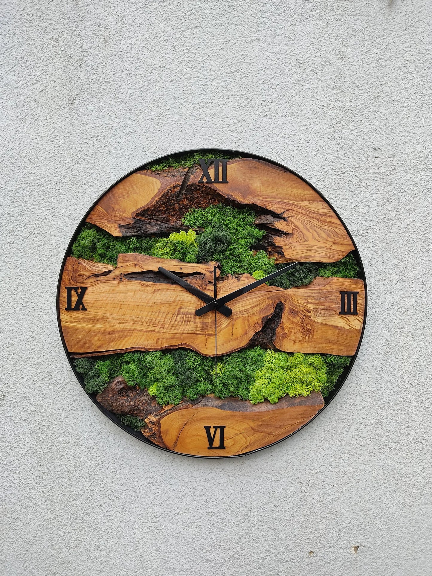 Olive tree wood-moss clock