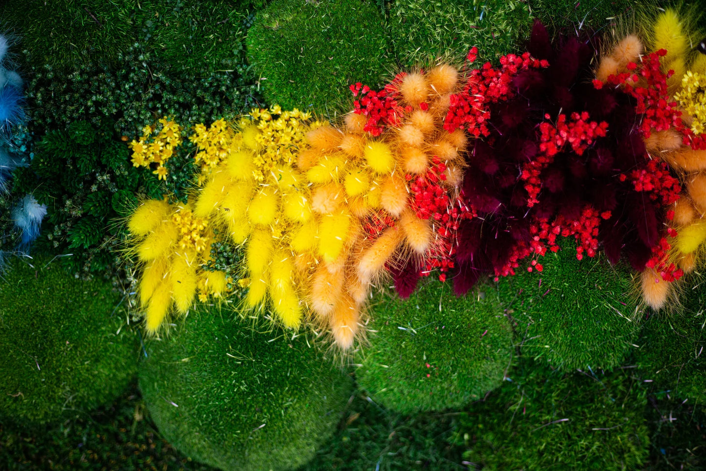 Moss flowers and butterfly Art by Luxana