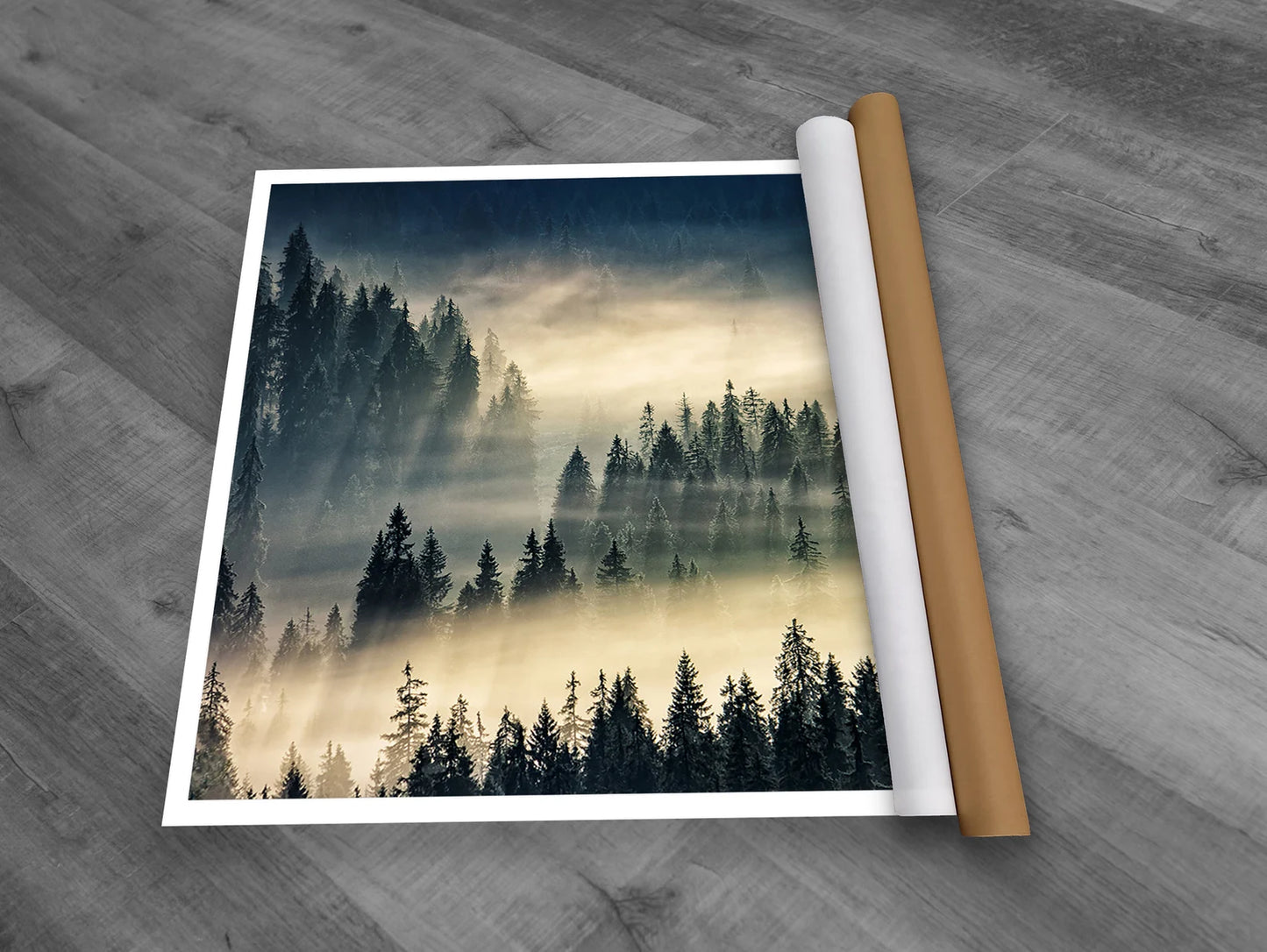 Forest with fog canvas art with frame