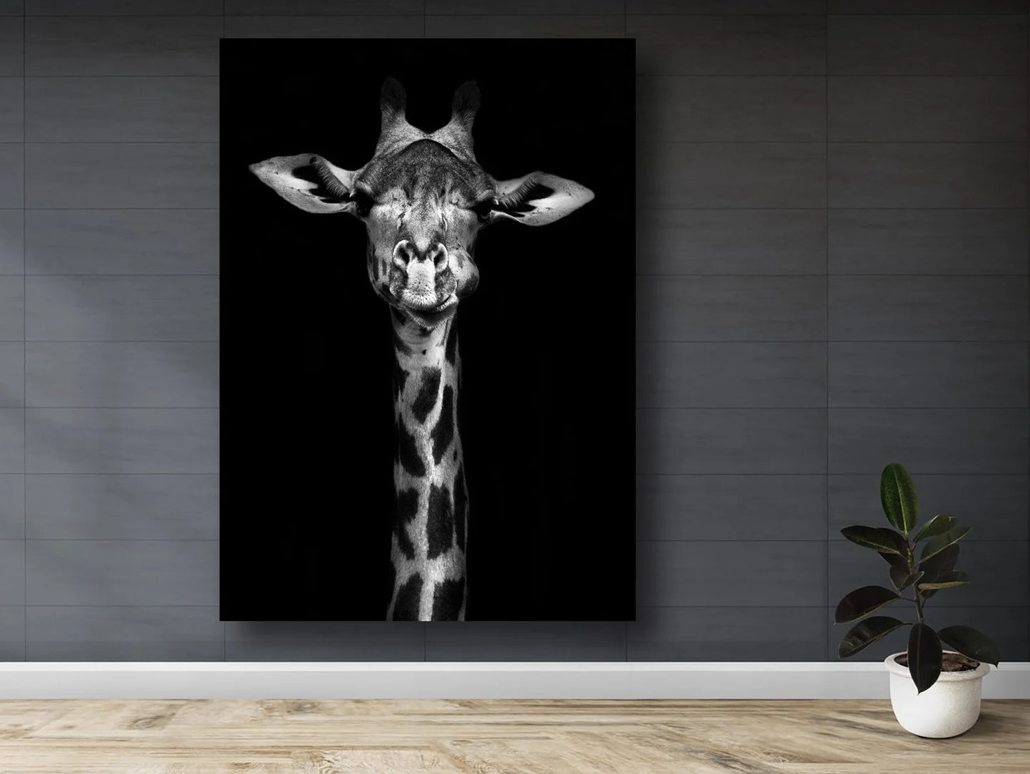 Giraffe in Black Canvas