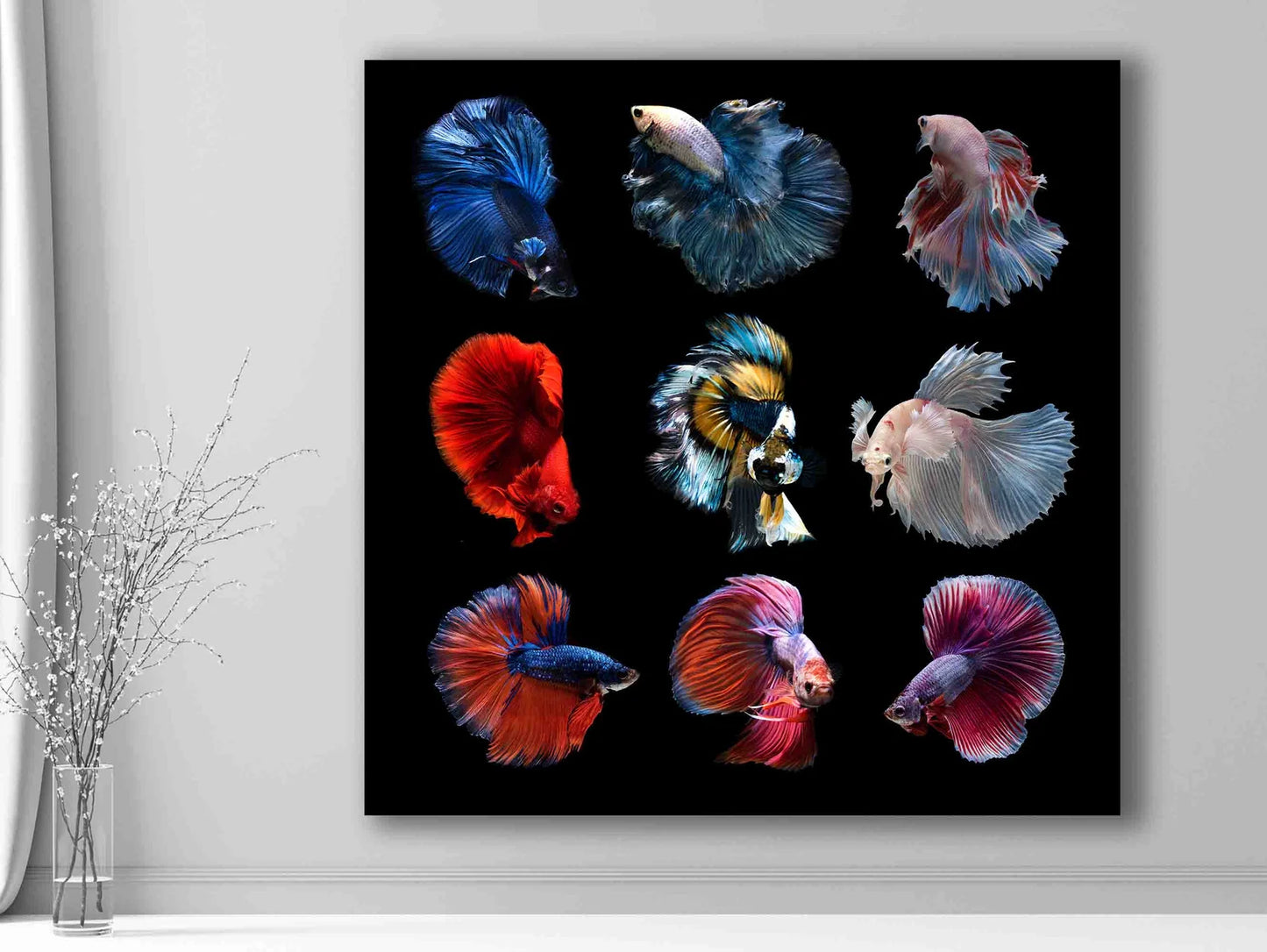 Siamese fighting fish canvas