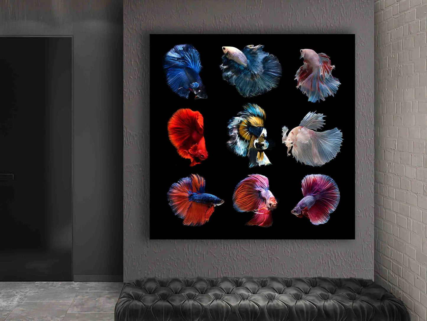 Siamese fighting fish canvas