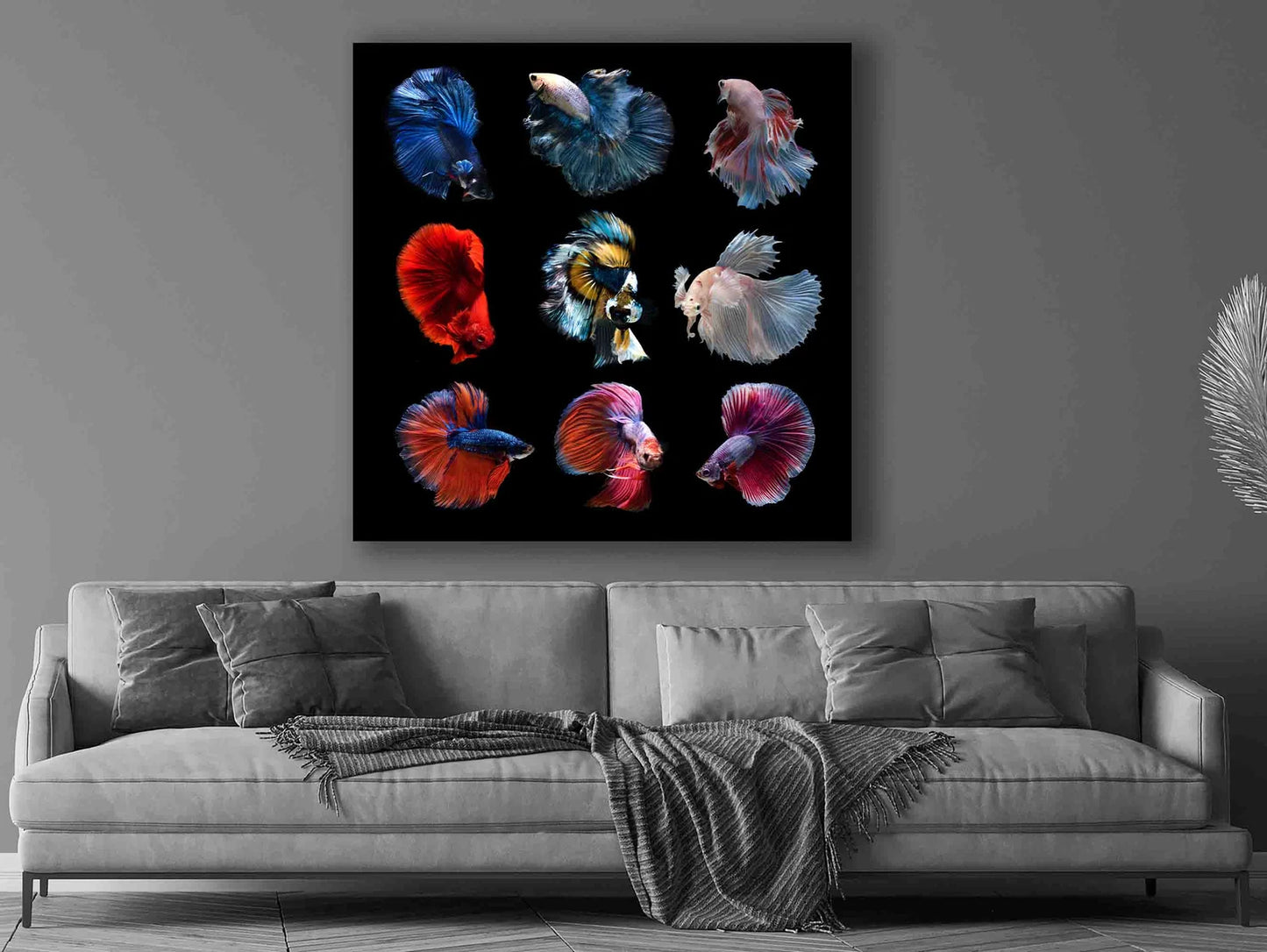 Siamese fighting fish canvas