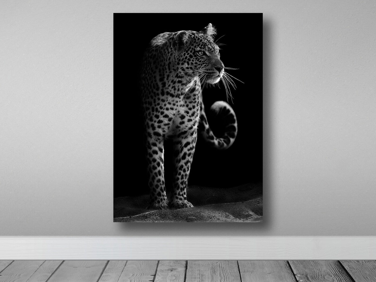 Leopard in Black Canvas